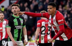 Dự đoán Sheffield United vs Brighton, 21h00 ngày 18/2, Ngoại hạng Anh