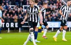 Nhận định, soi kèo Blackburn vs Newcastle: Khó phân thắng bại