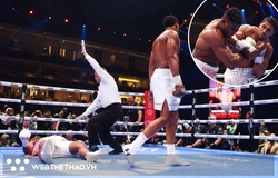 Trận Anthony Joshua - Francis Ngannou bị... nửa triệu người "xem trộm"