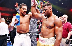 Francis Ngannou văng khỏi top 10 WBC, Anthony Joshua rộng cửa so găng Tyson Fury