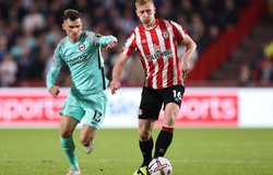 Nhận định, soi kèo Brentford vs Brighton: Bầy ong dữ