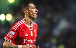 Nhận định, soi kèo Benfica vs Marseille: Đại bàng cất cánh