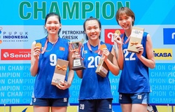 Giải bóng chuyền Hàn Quốc công bố 7 ngoại binh châu Á, bộ 3 Việt Nam không có tên