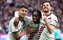 Đội hình dự kiến Leverkusen vs Atalanta: Lực lượng hùng hậu