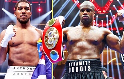 Trận boxing nội chiến kinh điển Anthony Joshua vs Daniel Dubois sẽ có đai danh giá