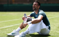 Bốc thăm Wimbledon 2024: Sinner vào nhánh đấu khó, Djokovic dễ thở