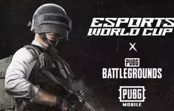 Lịch thi đấu PUBG Esports World Cup 2024