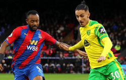 Nhận định bóng đá Crystal Palace vs Norwich: Tìm kiếm chiến thắng đầu tay