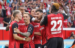 Nhận định bóng đá Feyenoord vs Leverkusen: Hài lòng đôi bên