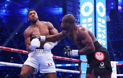 Anthony Joshua thất bại đau đớn, bị Daniel Dubois đấm gục tới 4 lần