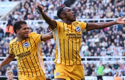 Dự đoán Brighton vs Wolves, 21h00 ngày 26/10, Ngoại hạng Anh 2024/25