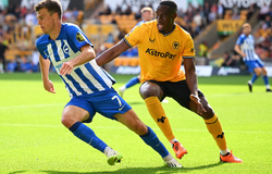 Nhận định bóng đá Brighton vs Wolves: Tiếp cận top 2