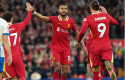 Nhận định bóng đá Liverpool vs Leverkusen: Nạn nhân tiếp theo