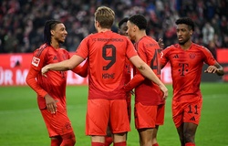 Dự đoán Bayern Munich vs Benfica, 3h00 ngày 7/11, Champions League 2024/25