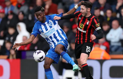 Nhận định bóng đá Bournemouth vs Brighton: Đứt mạch toàn thắng