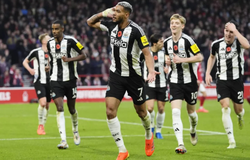 Nhận định bóng đá Crystal Palace vs Newcastle: Khó tin chích chòe