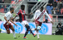 Nhận định bóng đá Torino vs Bologna: Điểm tựa hàng thủ