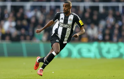 Nhận định bóng đá Southampton vs Newcastle: Bắt nạt chủ nhà