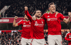 Nhận định bóng đá Nottingham vs Brighton: Bắn hạ Chim mòng biển