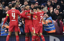 Nhận định bóng đá Liverpool vs Tottenham: Tự tin ngược dòng