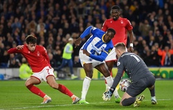Dự đoán Brighton vs Leicester, 21h00 ngày 12/4, Ngoại hạng Anh 2024/25