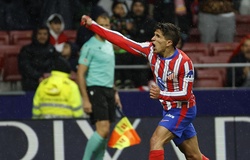 Dự đoán Atletico Madrid vs Rayo Vallecano, 2h30 ngày 25/4, La Liga 2024/25