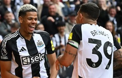 Dự đoán Brighton vs Newcastle, 20h00 ngày 4/5, Ngoại hạng Anh 2024/25