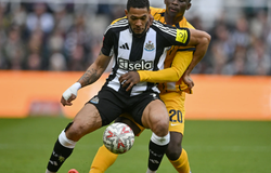 Nhận định bóng đá Brighton vs Newcastle: Đảm bảo top 3