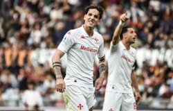 Nhận định bóng đá Venezia vs Fiorentina: Đánh mất tất cả