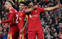 Nhận định bóng đá Brighton vs Liverpool: Đứt mạch đối đầu ấn tượng