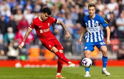 Tỷ lệ bóng đá trận Brighton vs Liverpool, 2h00 ngày 20/5, Ngoại hạng Anh