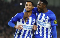 Nhận định bóng đá Tottenham vs Brighton: Gà trống ngủ quên