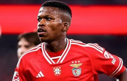 Danh sách đội hình Benfica tham dự FIFA Club World Cup 2025