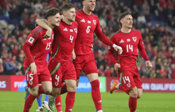 Nhận định bóng đá Bỉ vs Wales: Quỷ đỏ xuống sức