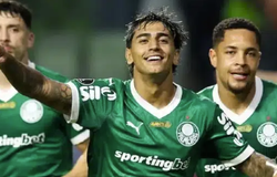 Nhận định bóng đá Palmeiras vs Porto: Bầy rồng gặp khó