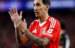 Nhận định, soi tỷ lệ Benfica vs Auckland City: Bữa tiệc bàn thắng