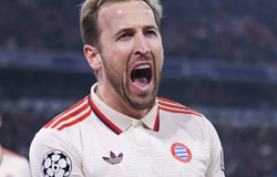 Nhận định, soi tỷ lệ Benfica vs Bayern Munich: Dắt tay nhau đi tiếp
