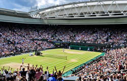 Lịch thi đấu Wimbledon 2025 mới nhất: Sinner vs Djokovic
