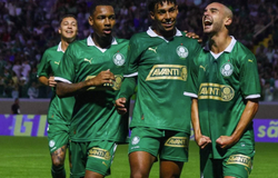 Nhận định, soi tỷ lệ Palmeiras vs Botafogo: Trận chiến nội bộ
