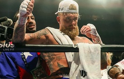 Jake Paul nhận tiền thù lao "còm" khó tin khi so găng Chavez Jr
