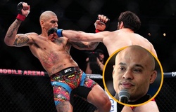 Alex Pereira bị coi thường "vì chỉ là trò sắp đặt của UFC"