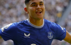 Nhận định bóng đá Everton vs Bournemouth: Cơ hội phục thù cho The Toffees
