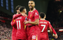 Nhận định, soi kèo Yokohama Marinos vs Liverpool: Chênh lệch đẳng cấp
