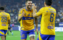 Nhận định Tigres UANL vs San Diego: Đẳng cấp vượt trội