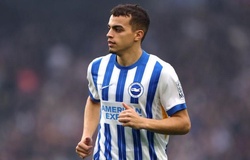 Đội hình Brighton 2025/2026: Danh sách, số áo cầu thủ chi tiết