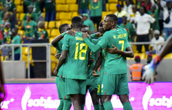 Nhận định Senegal vs Nigeria: Long tranh hổ đấu