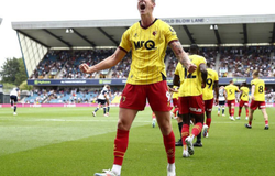 Nhận định Charlton vs Watford: Tân binh đầy khí thế