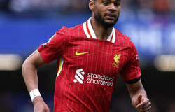 Nhận định Crystal Palace vs Liverpool: Khởi đầu cho nhà Vua