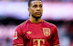 Nhận định Grasshoppers vs Bayern Munich: Bài test vượt tầm