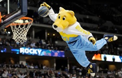 Mascot lương cao nhất NBA bất ngờ khởi kiện Denver Nuggets vì “không có tình người”